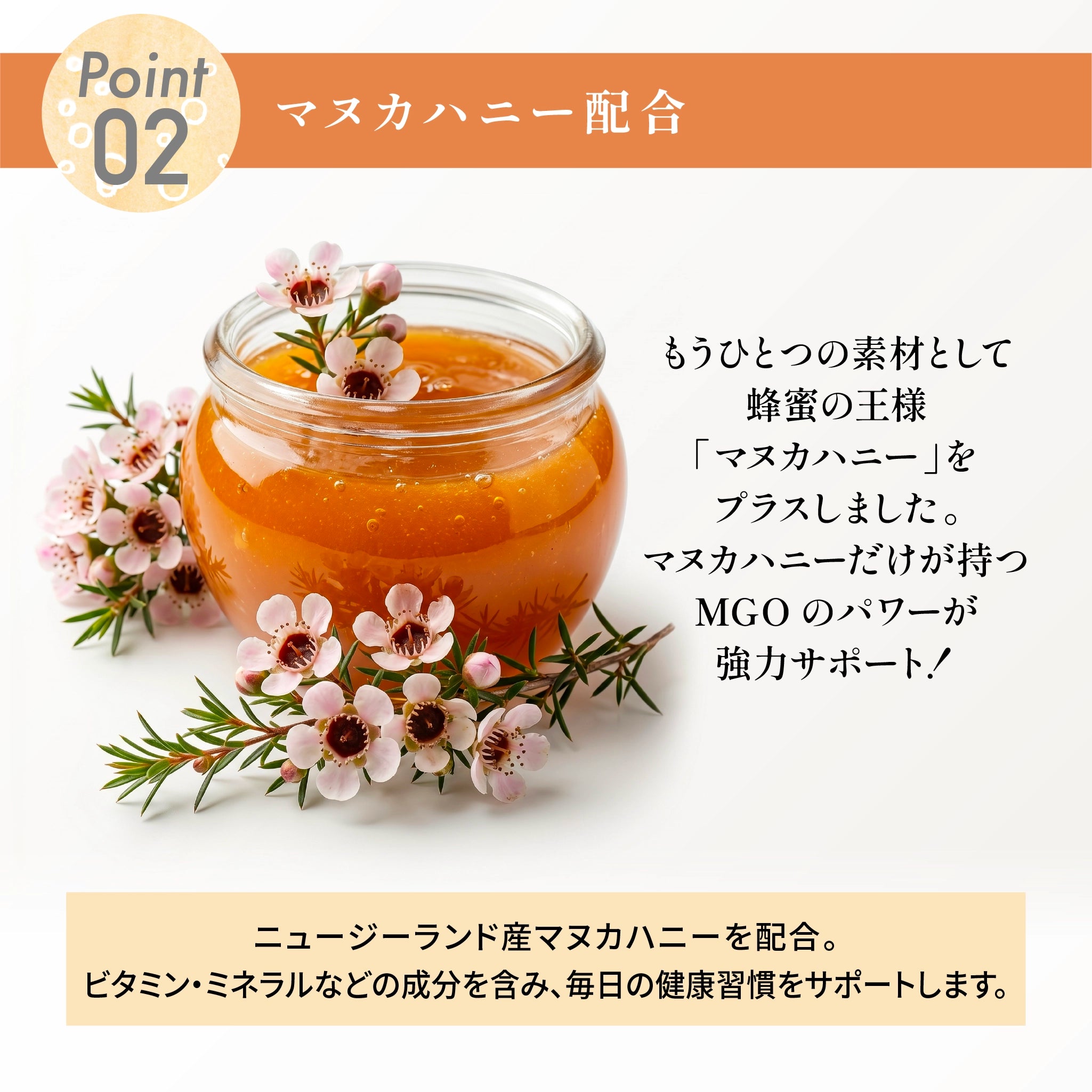 【定期購入】わたしのプラセンタ
